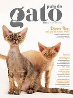 Pulo do Gato
